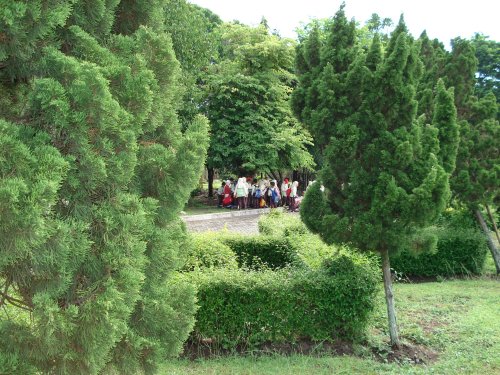 DSC00166